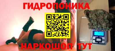 индика Канаш