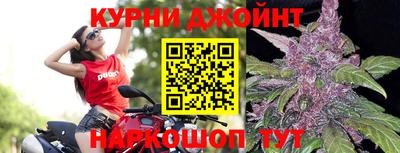 индика Канаш