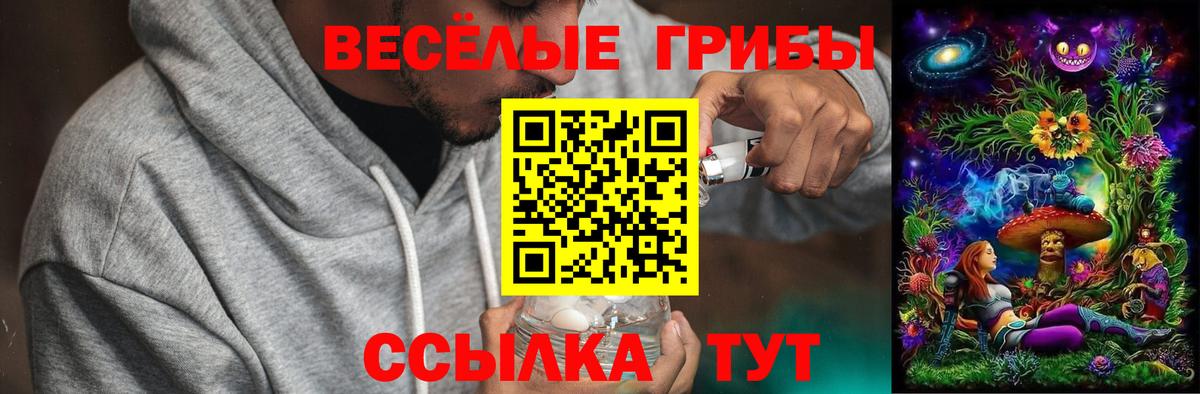 Искитим  Галлюциногенные грибы мицелий  Вход с VPN  Галлюциногенные грибы Cubensis 